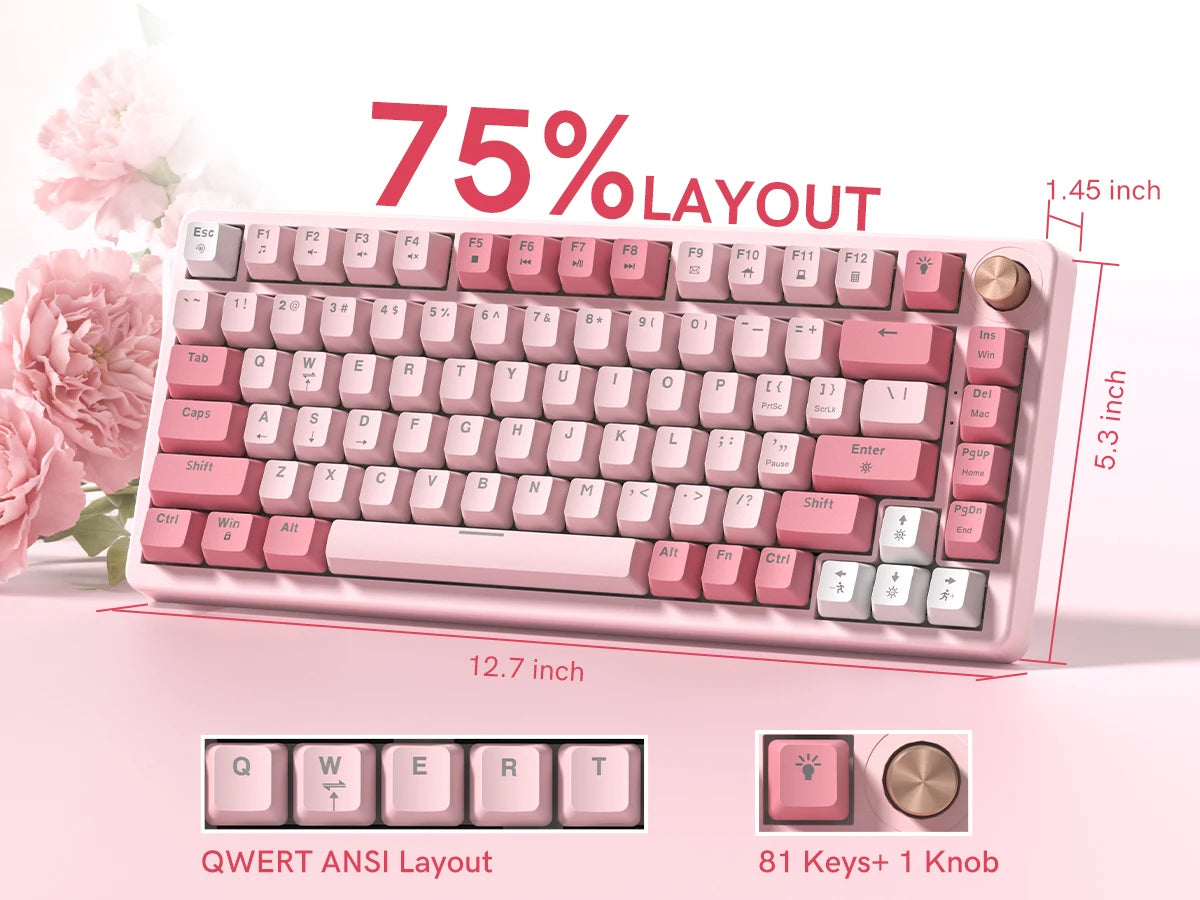 Womier VK75 Wired Mechanical Keyboard 75% Custom Hotswap with Knob RGB Backlit Gasket Mount Gaming Keyboard Double Linear Switch