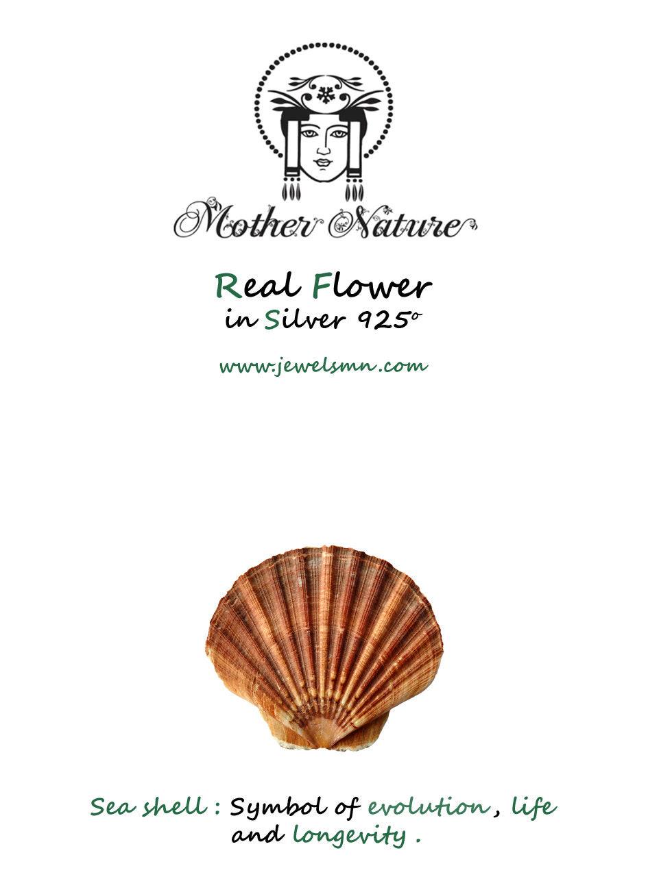 Real Sea Shell Silver Earrings, Handmade Minimalist Jewelry, Organic Beach Studs, Gift for Luck & Longevity, Gold or Sterling Silver 925